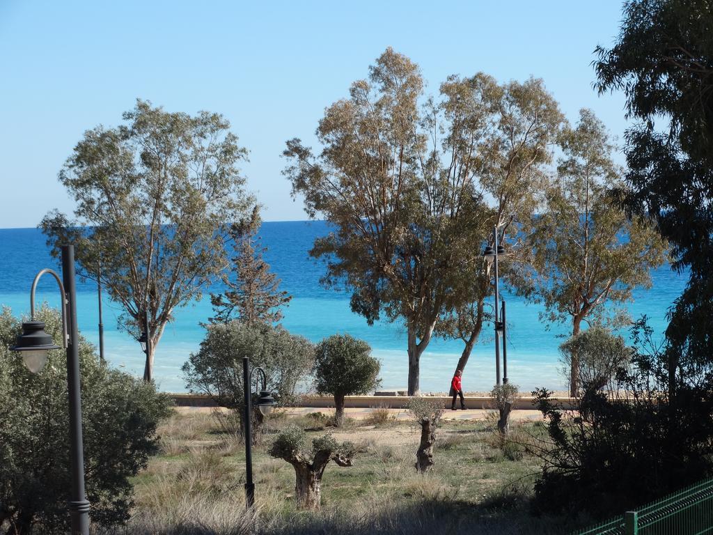 Camping El Torres فيياخويوسا المظهر الخارجي الصورة