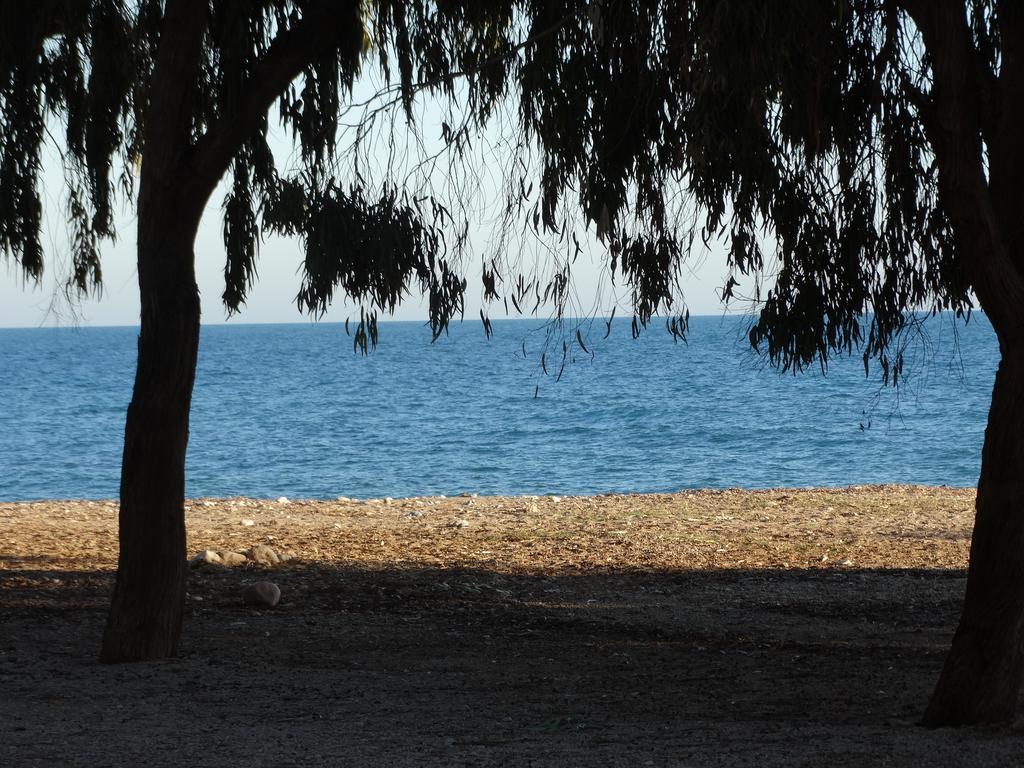 Camping El Torres فيياخويوسا المظهر الخارجي الصورة